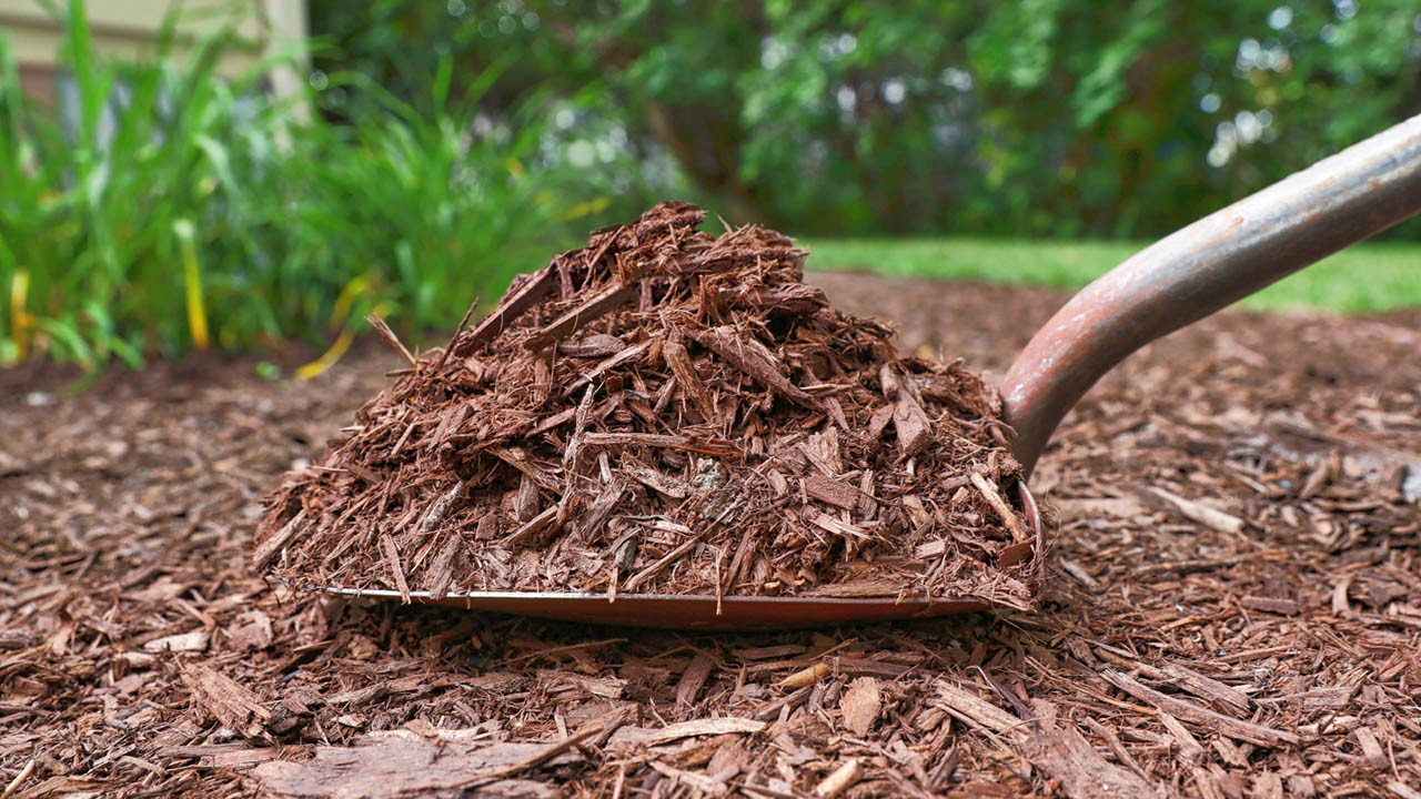 Premium Mulch — Cedar, hardwood, dyed, cypress, pine bark and playground chip. Loose or bagged.